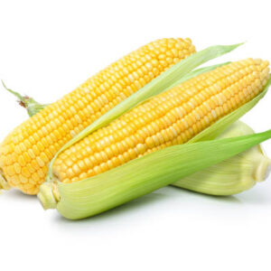 American corn