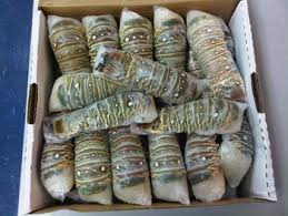 Lobster