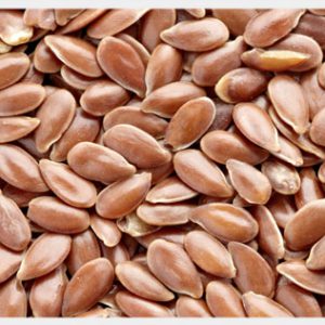 Lin Seed