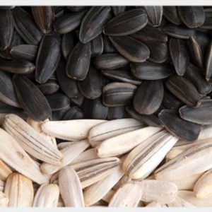 Sunflower Seeds